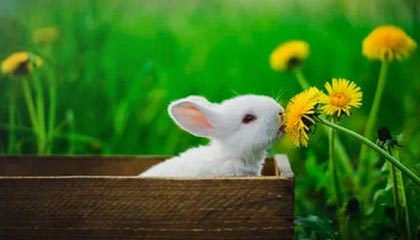 西甲官方：佩德里战莱万特轰出的世界波当选联赛8月最佳进球